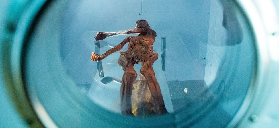 A spasso con Ötzi il tatuato: un'indagine sulla preistoria